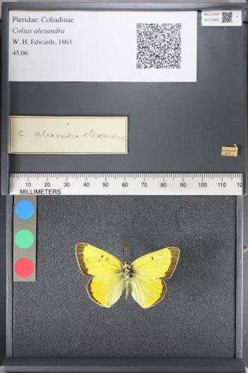 Media type: image;   Entomology 123863